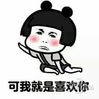 我就是喜欢你表情包无水印 正式版