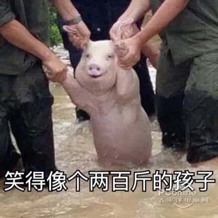笑得像个200斤的孩子表情包 高清无水印版
