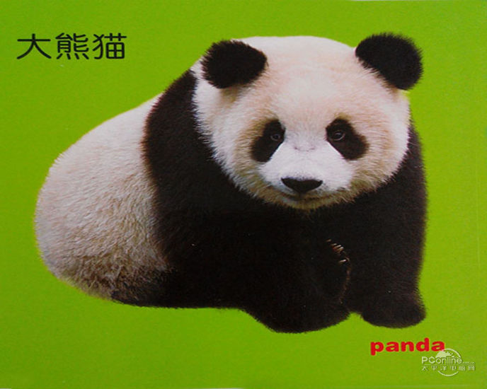 孩子学习英语之认识小动物 1.