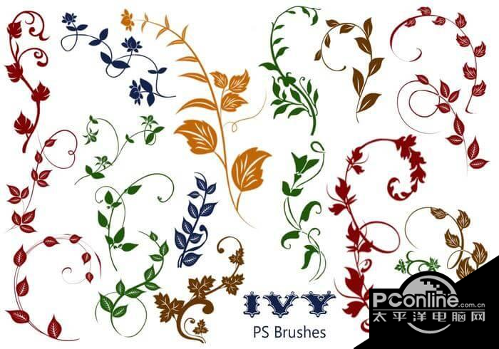 20种植物常青藤花纹图案ps笔刷素材免费版