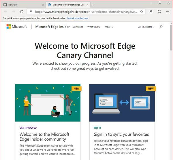 microsoft edge canary(chromium edge金丝雀版) 76.0.167.0 官方版