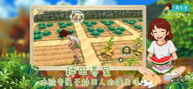 小森生活1142