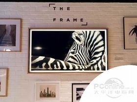 The Frame