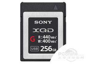  XQD-G(256GB)