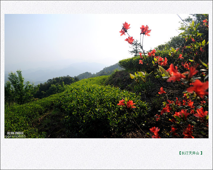 长汀天井山