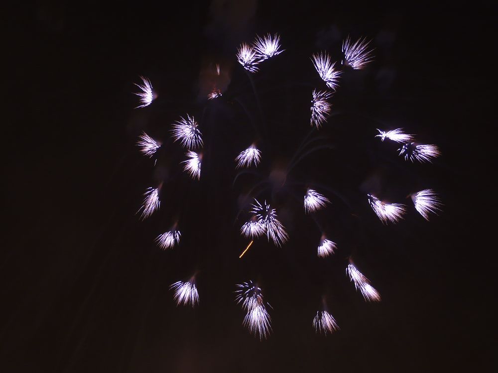 烟花烟花满天飞