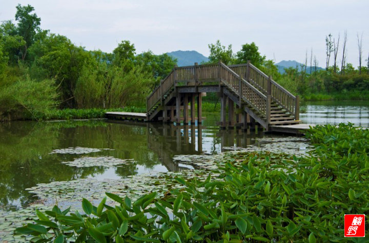 西溪湿地