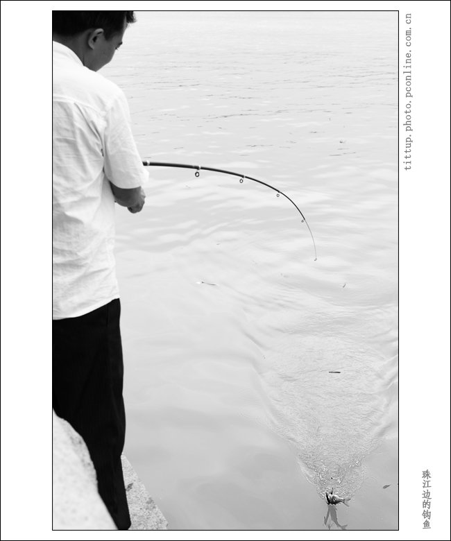 【珠江边的钩鱼摄影图片】广州,珠江纪实摄影