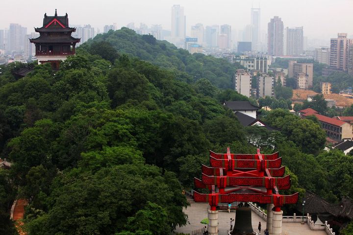 黄鹤山 太平洋电脑网