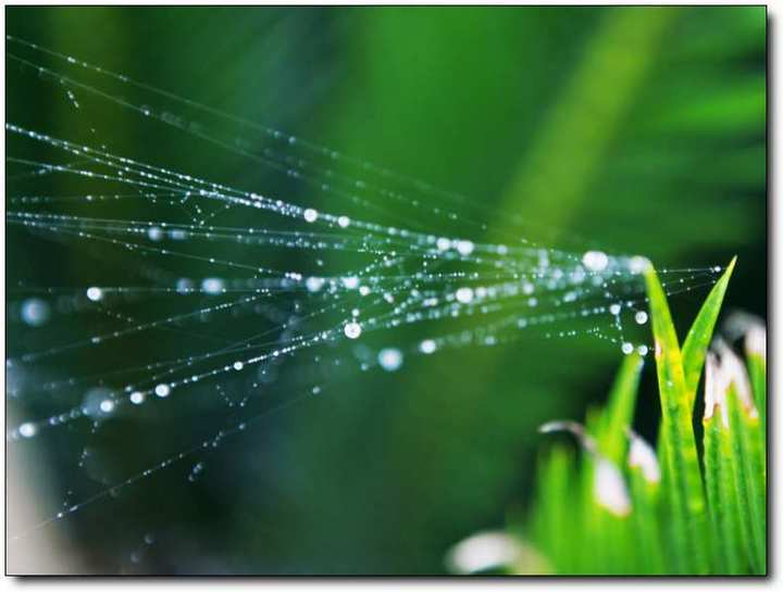 那个下雨的清晨