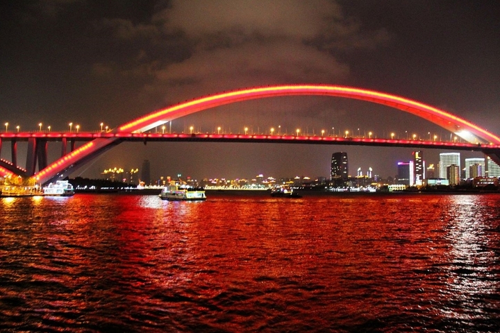 【卢浦大桥夜景摄影图片】世博园区纪实摄影_1114948249_太平洋电脑网摄影部落