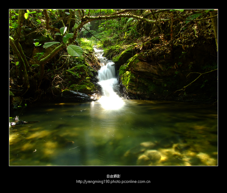 树阴照水爱晴柔