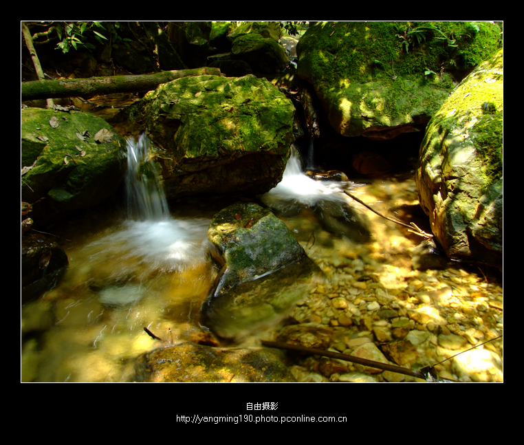 树阴照水爱晴柔