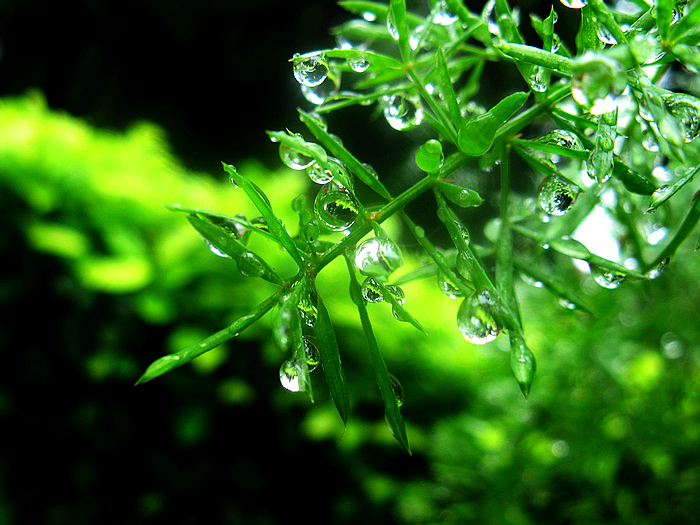 雨后