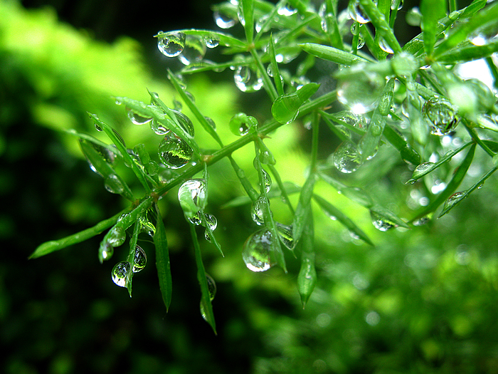 雨后