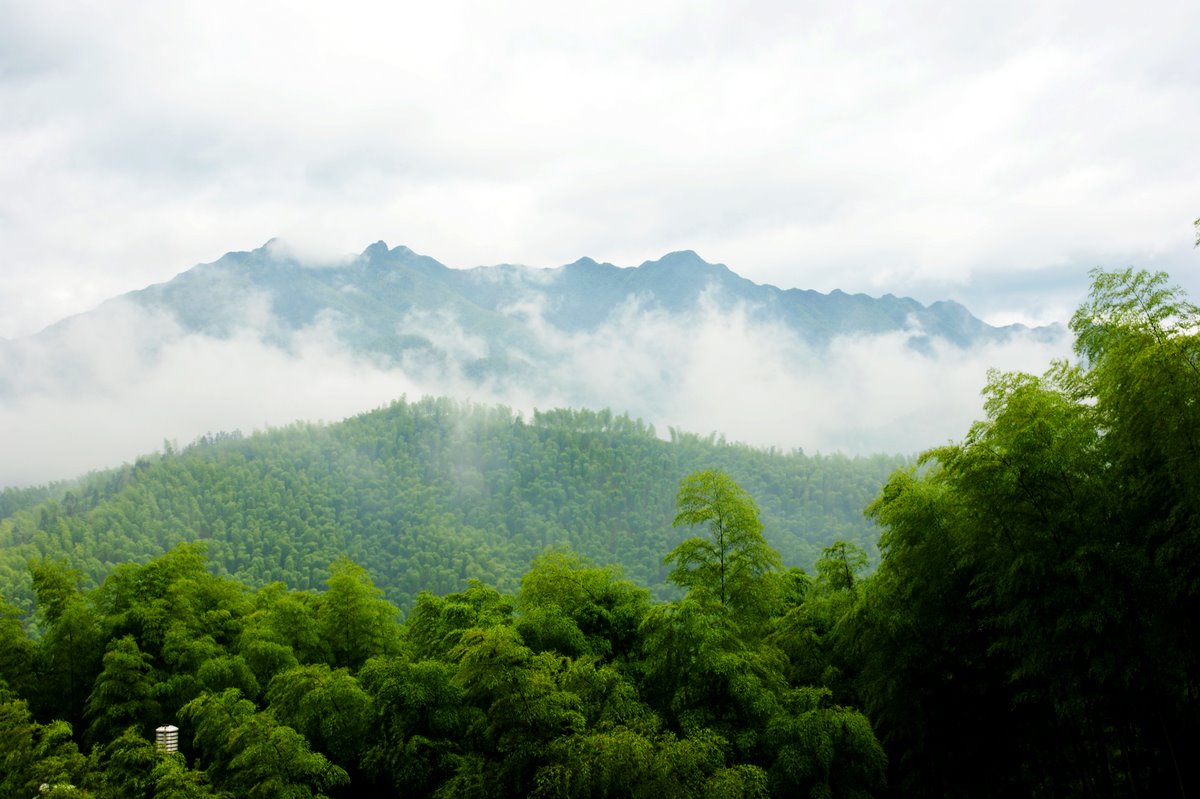 安徽：雨后黄山现云海大观