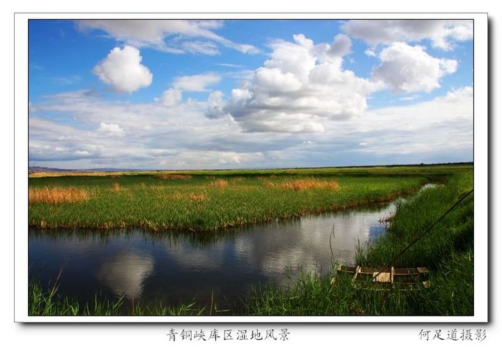 【青铜峡库区湿地之二摄影图片】宁夏青铜峡库