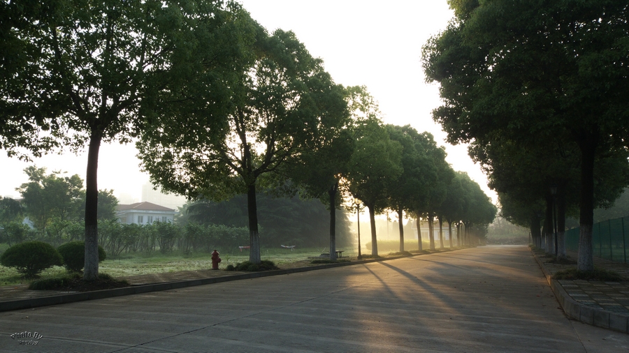 上海的早晨(城郊与都市)