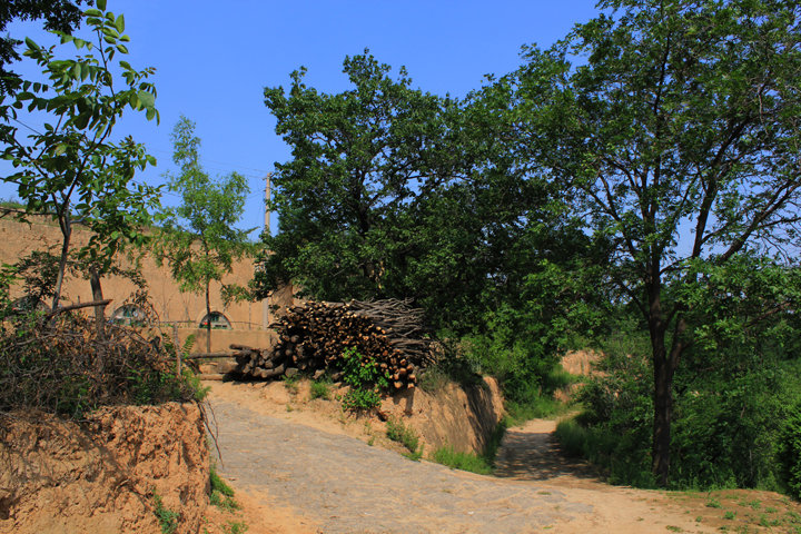 【村头小景摄影图片】乡宁栆岭生态摄影