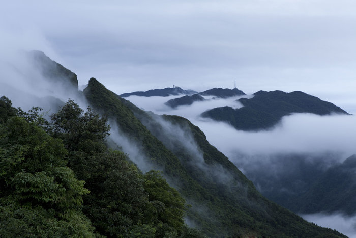 大明山雾山