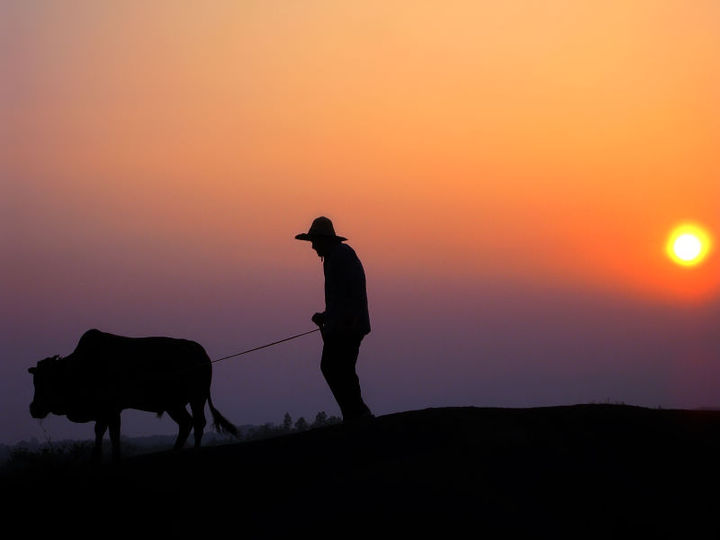 夕阳西下.