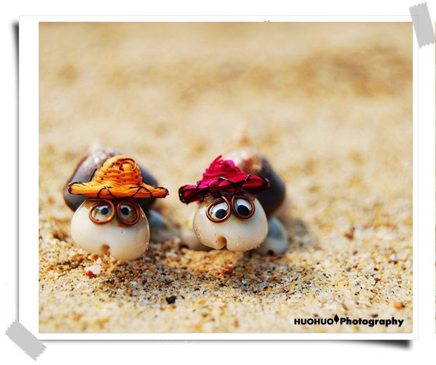 【小乌和小龟摄影图片】海边生活摄影