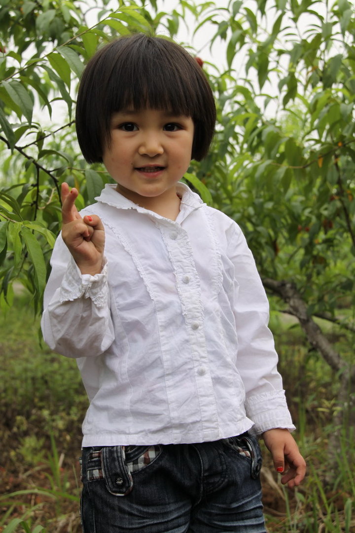 肥西聚星湖生态庄园里摘油桃的小.
