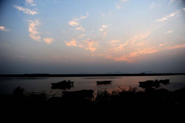 山东东平湖湿地