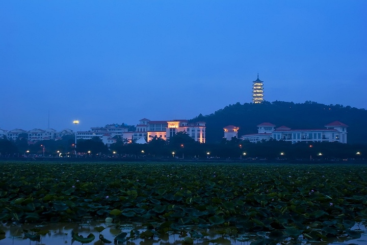 学拍夜景——东莞桥头镇莲湖