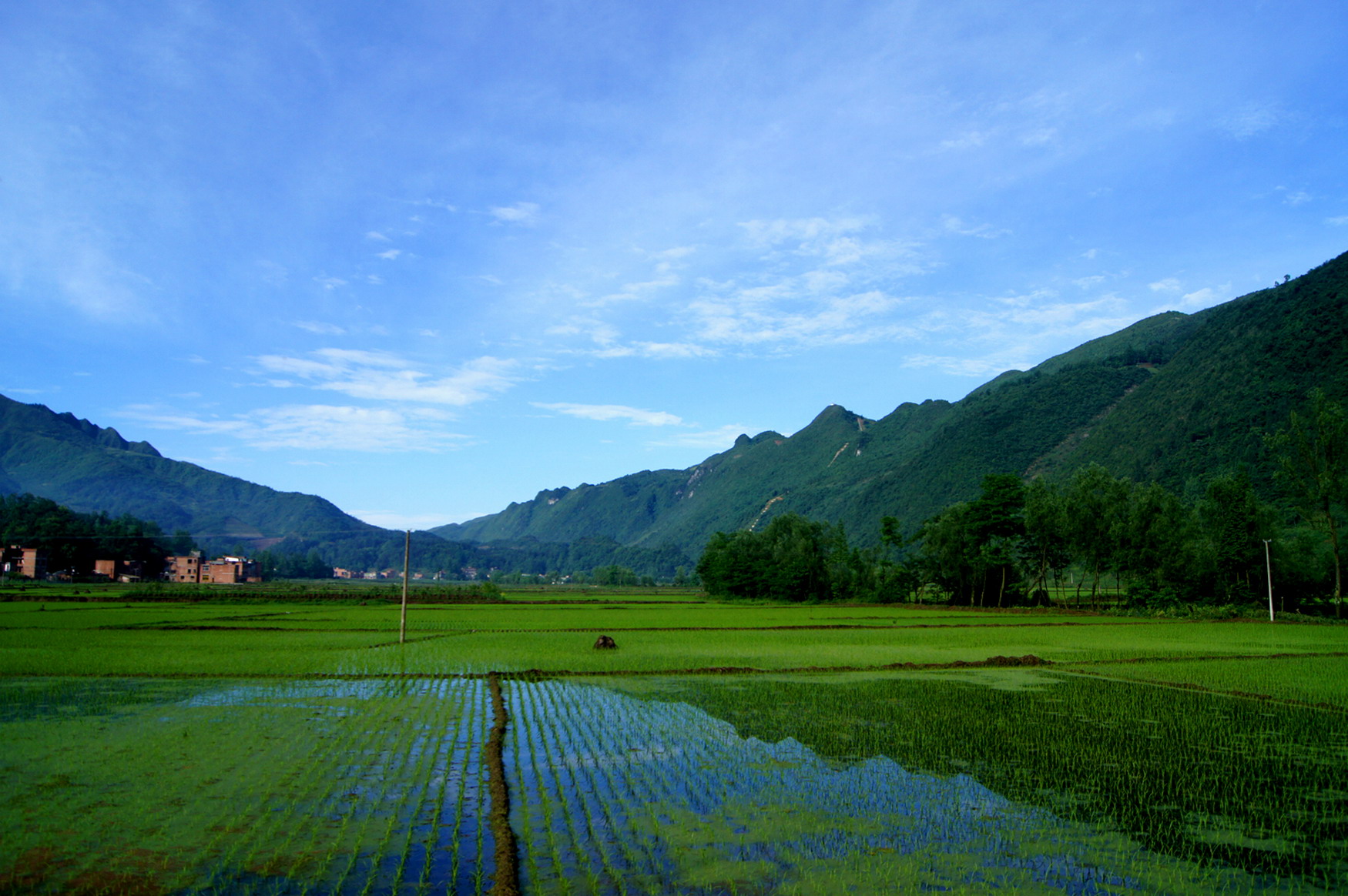 美丽的田园