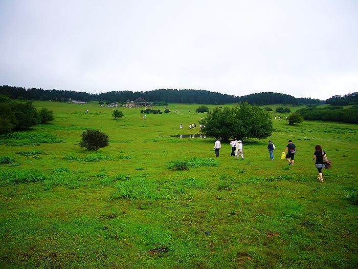 武隆,仙女山(二)