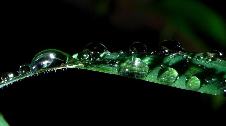 春风化雨 润物无声