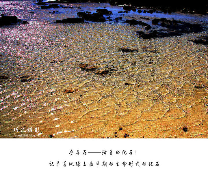 【西澳风光--叠层石摄影图片】哈麦林潭(Hame