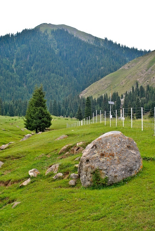 【世界罕见奇景---泥火山喷发摄影图片】白杨沟