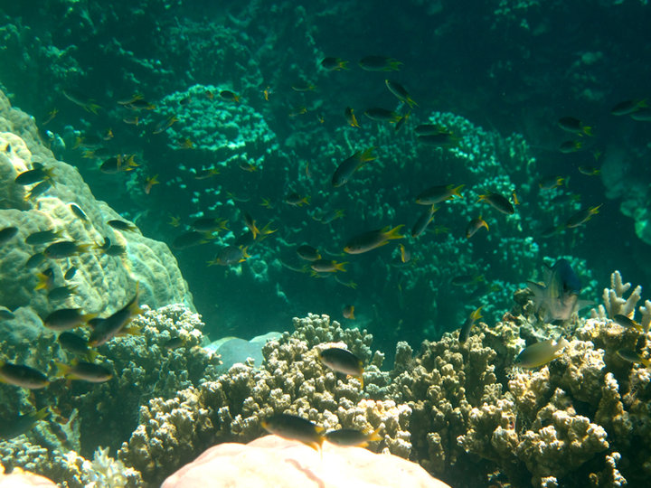 【10帕劳-游进上帝的水族箱摄影图片】帕劳风