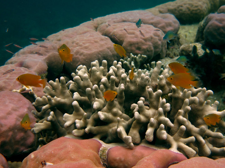 【10帕劳-游进上帝的水族箱摄影图片】帕劳风