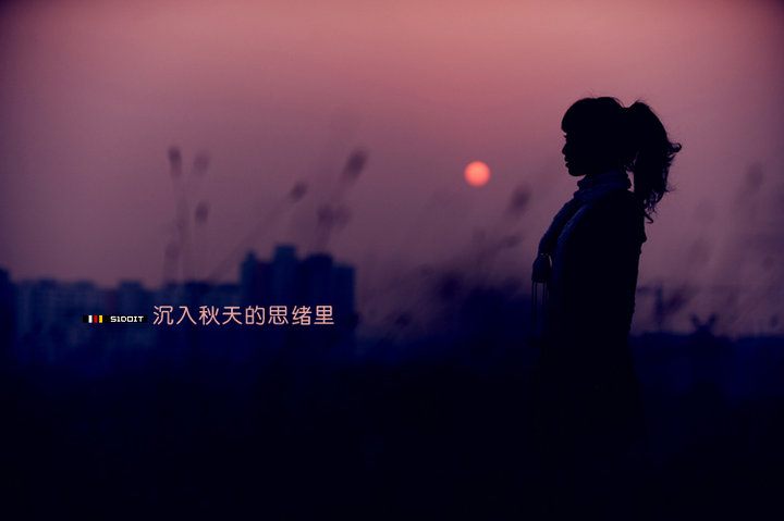 沉入秋天的思绪里