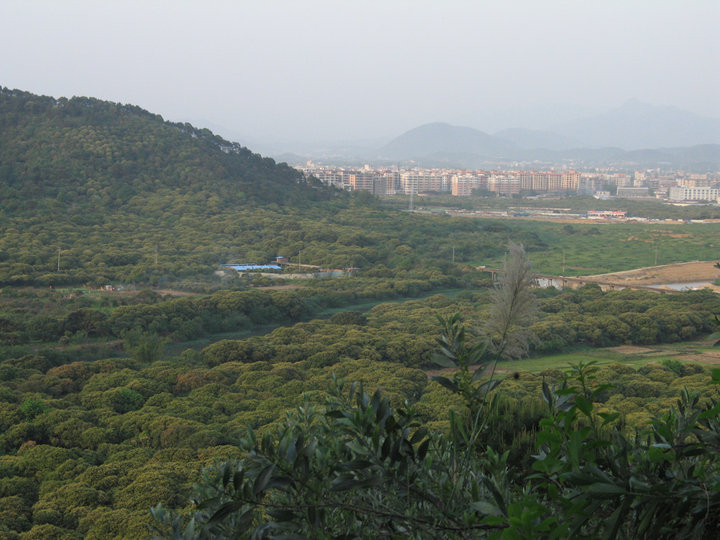 行走森林公园--广州从化风云岭