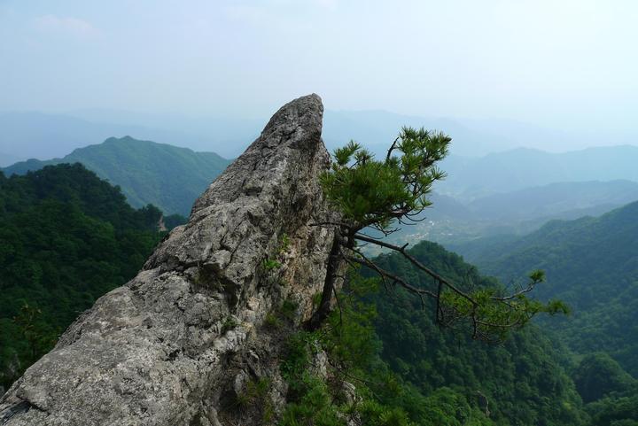 王顺山风光