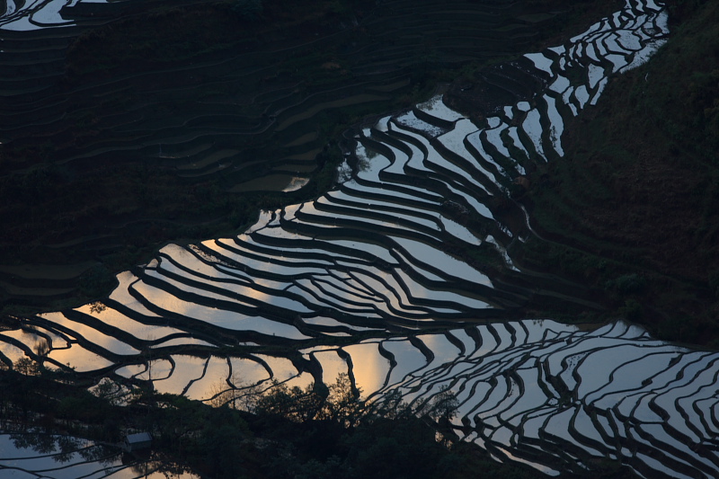 元阳梯田