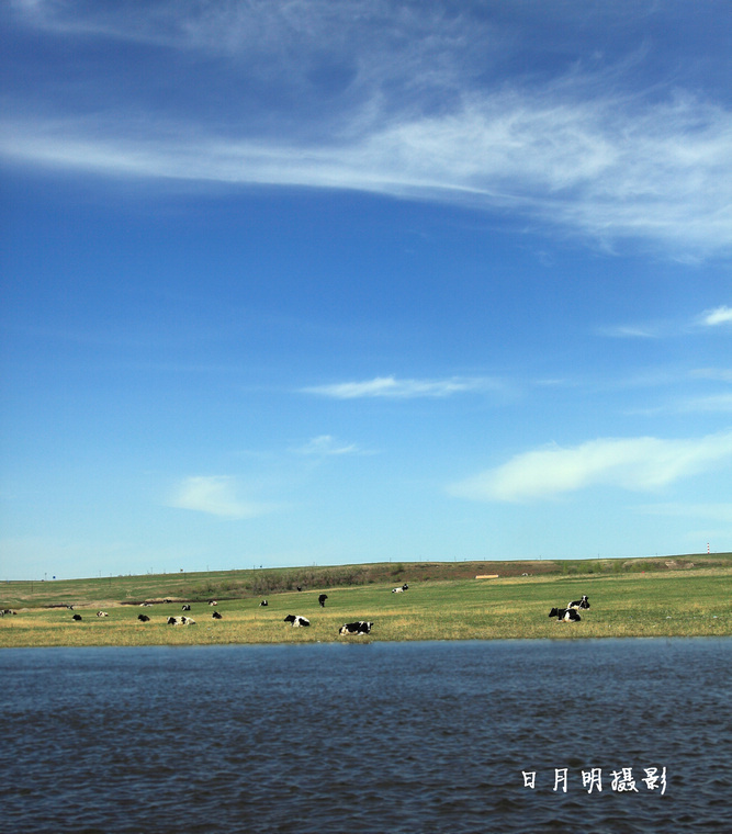 【生态牧场摄影图片】内蒙古生态摄影_我的天