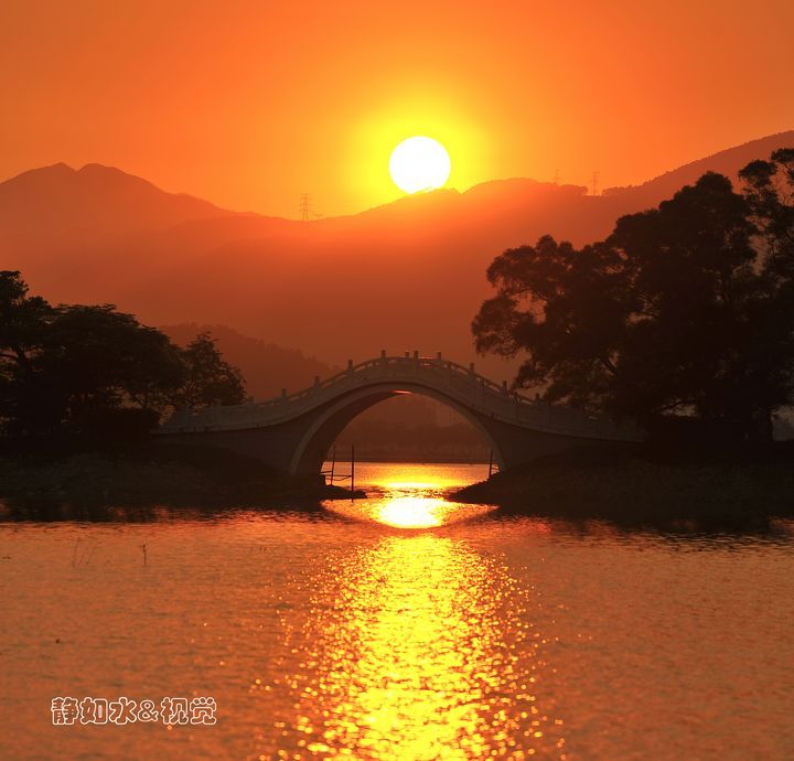 夕阳红