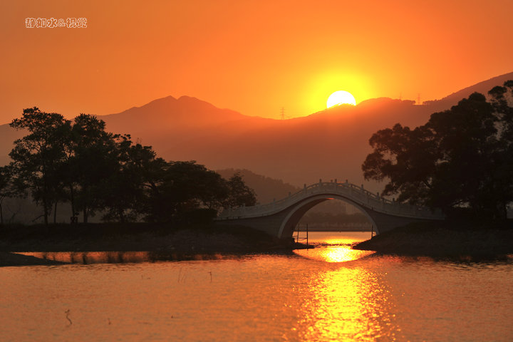 夕阳红