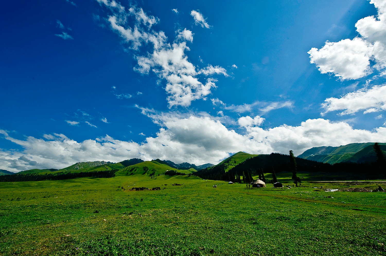 空中草原-1