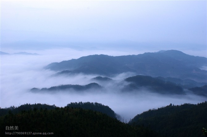 雾茫茫.景滔滔