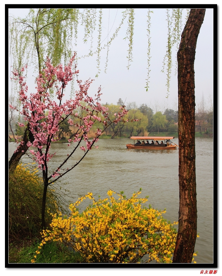 【烟花三月扬州瘦西湖2摄影图片】扬州市瘦西