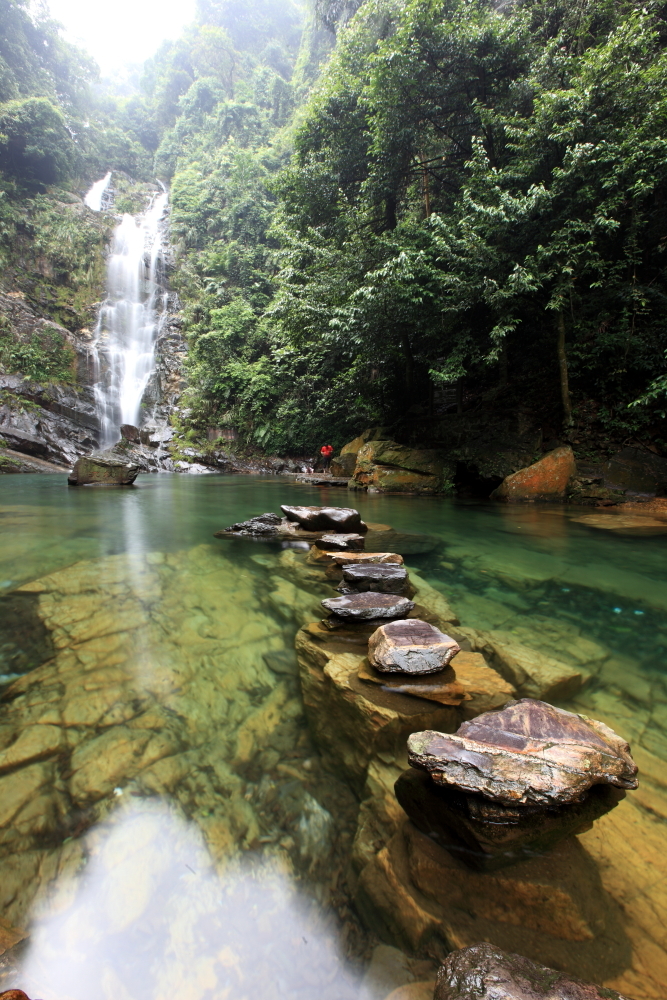 鼎湖山森林保护区