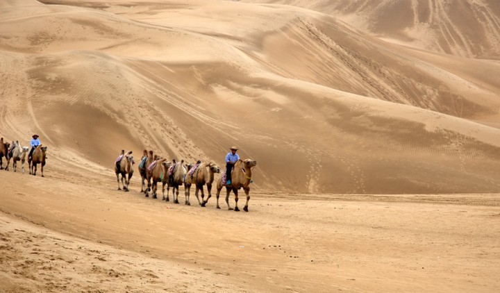【扬鞭跃马走内蒙--沙漠驼铃摄影图片】鄂尔多