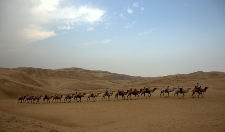 【扬鞭跃马走内蒙--沙漠驼铃摄影图片】鄂尔多