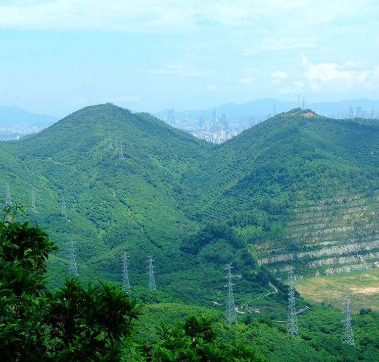 塘朗山郊野公园